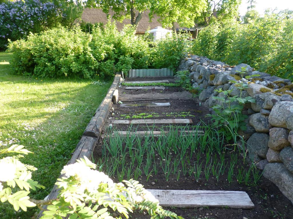 Jurna Recreation Farm Villa Upa Buitenkant foto